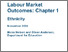 [thumbnail of Labour_Market_Outcomes_Chapter_1_-_Ethnicity.pdf]