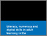 [thumbnail of Literacy-numeracy-and-digital-skills-in-adult-learning-in-the-community_Redacted.pdf]